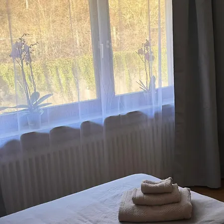 1 Und Kueche In Zell-mosel * Zell