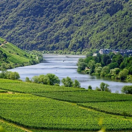 1 Und Kueche In Zell-mosel * Zell
