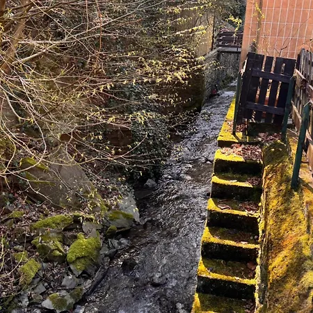 1 Und Kueche In Zell-mosel * Zell